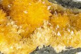 Intense Orange Calcite Crystal Cluster - Poland #228268-1